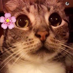 Meet your Posher, Thalia